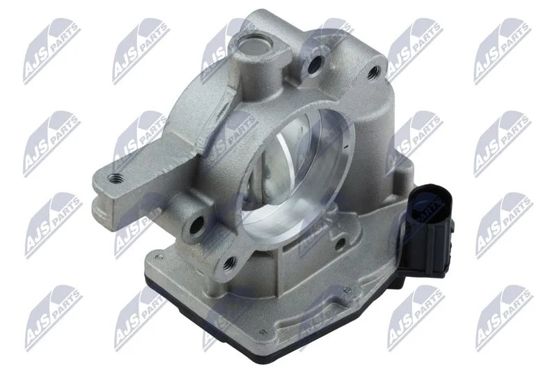 Throttle Body NTY ETB-PL-007