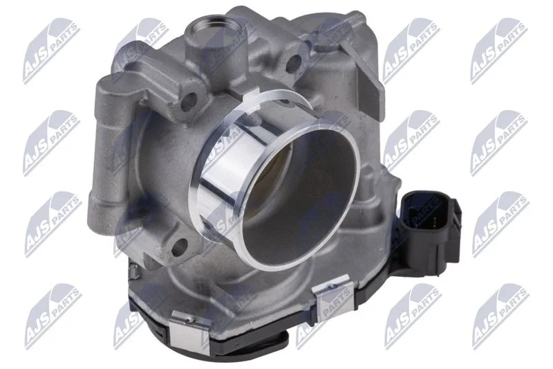 Throttle Body NTY ETB-PL-012