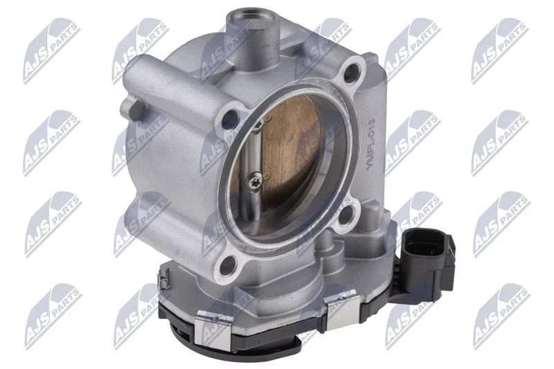Throttle Body NTY ETB-PL-013