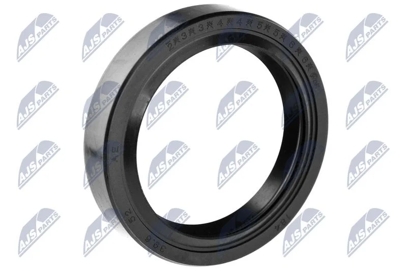 Shaft Seal, differential NTY NUP-MS-001