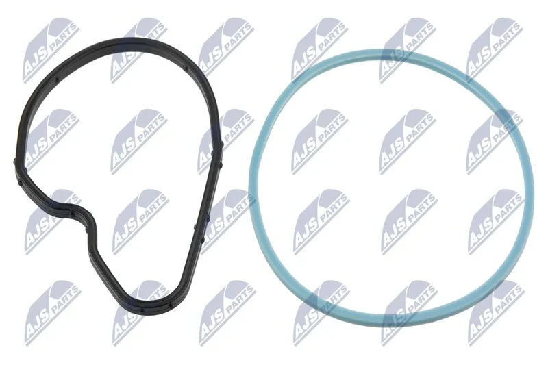 Anel de Vedação, suporte do bico NTY PVP-PL-000