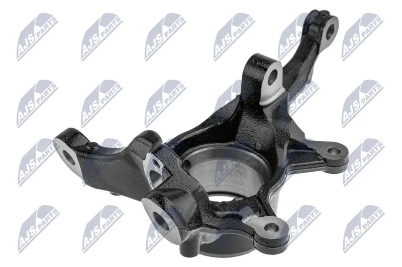 Pivô de Direção, suspensão da roda NTY ZZP-BM-013