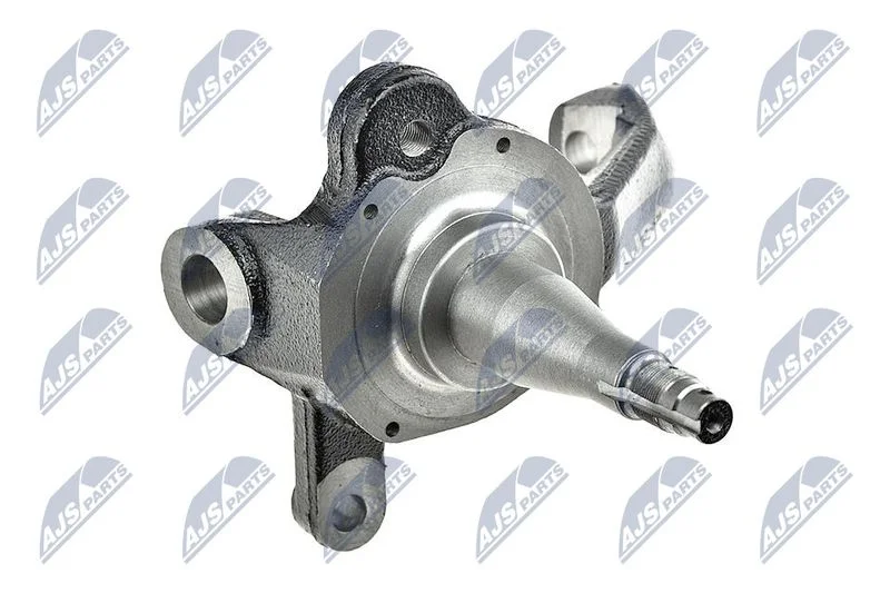 Pivô de Direção, suspensão da roda NTY ZZP-NS-021