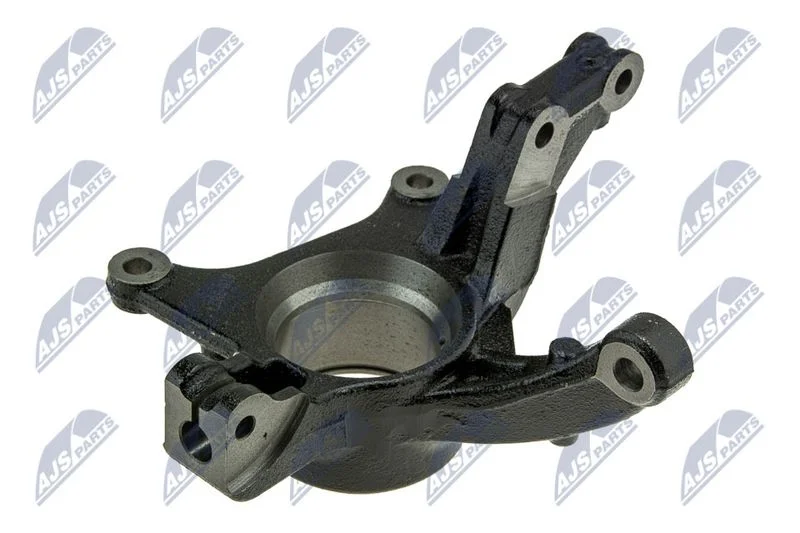 Pivô de Direção, suspensão da roda NTY ZZP-RE-019