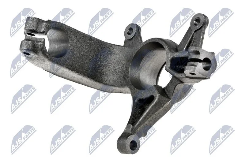 Pivô de Direção, suspensão da roda NTY ZZP-RE-022