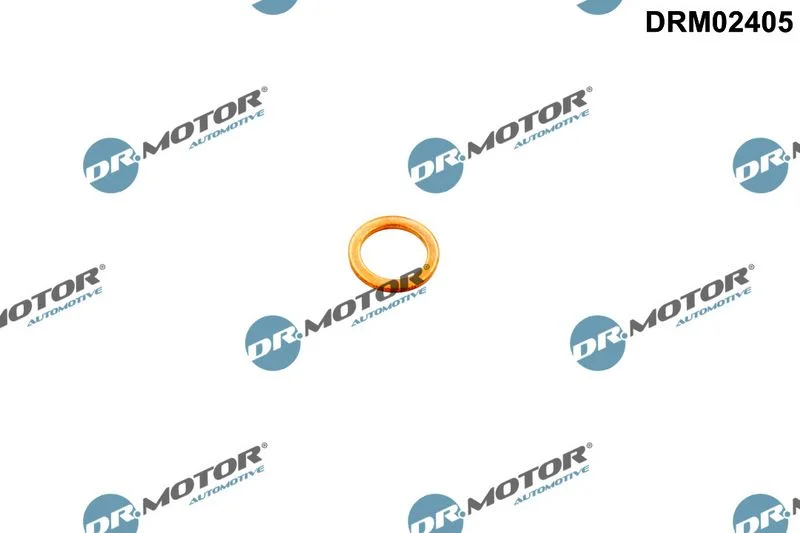 Seal Ring, oil drain plug DR MOTOR DRM02405