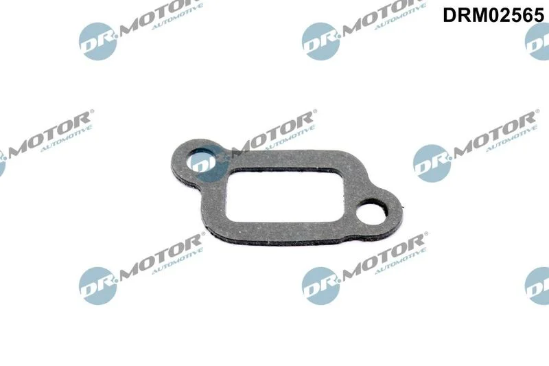 Gasket, thermostat housing DR.MOTOR DRM02565