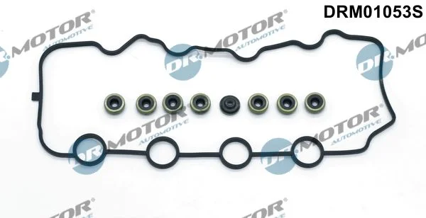Conjunto de Juntas, tampa da cabeça do cilindro Dr.Motor Automotive DRM01053S