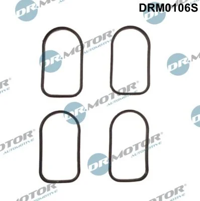 Conjunto de Juntas, coletor de admissão Dr.Motor Automotive DRM0106S