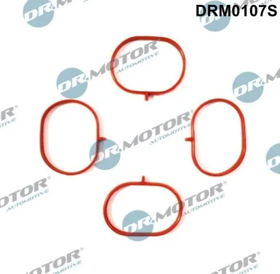 Conjunto de Juntas, coletor de admissão Dr.Motor Automotive DRM0107S