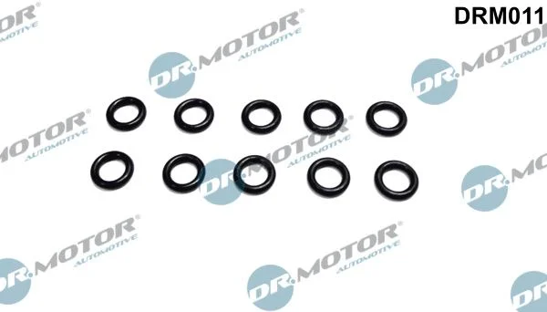 Anel de Vedação, suporte do bico Dr.Motor Automotive DRM011