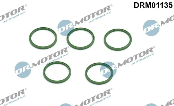 Anel de Vedação, mangueira de ar de carga Dr.Motor Automotive DRM01135