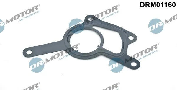 Junta, bomba de vácuo Dr.Motor Automotive DRM01160
