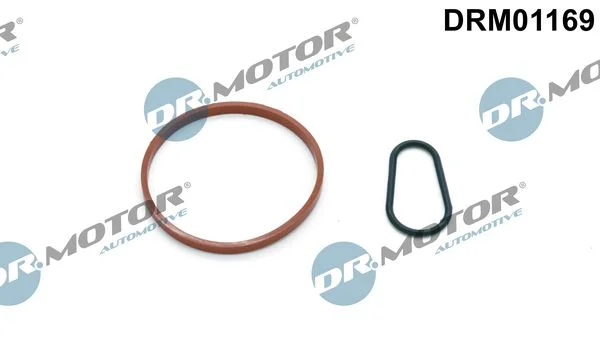 Conjunto de Vedação, bomba de vácuo Dr.Motor Automotive DRM01169