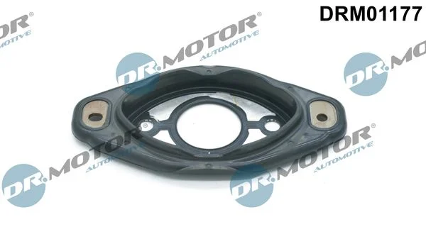 Vedação, ajuste do eixo de comando Dr.Motor Automotive DRM01177