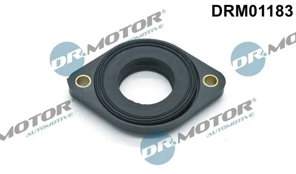 Vedação, ajuste do eixo de comando Dr.Motor Automotive DRM01183