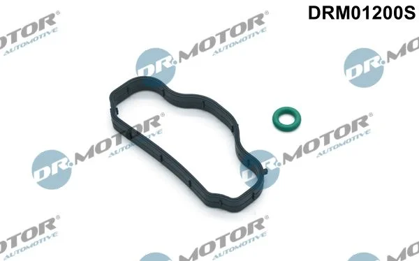 Conjunto de Juntas, tampa da cabeça do cilindro Dr.Motor Automotive DRM01200S