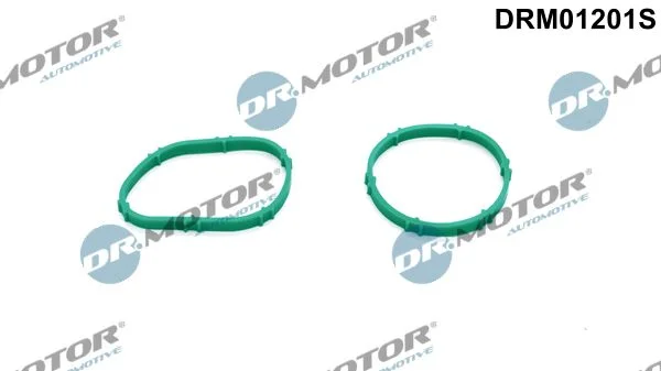 Conjunto de Juntas, coletor de admissão Dr.Motor Automotive DRM01201S