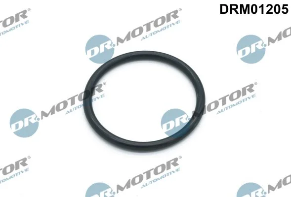 Junta, bomba de água Dr.Motor Automotive DRM01205