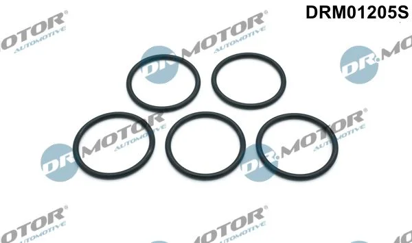 Conjunto de Juntas, bomba de água Dr.Motor Automotive DRM01205S