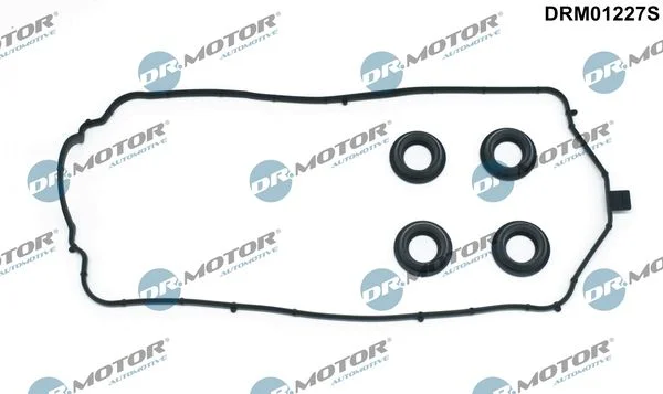 Conjunto de Juntas, tampa da cabeça do cilindro Dr.Motor Automotive DRM01227S