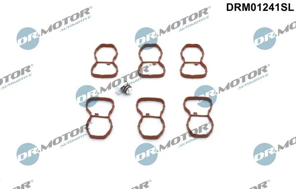 Repair Kit, intake manifold module Dr.Motor Automotive DRM01241SL
