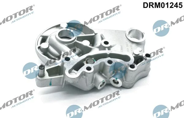 Suporte do Rolamento, eixo de comando Dr.Motor Automotive DRM01245