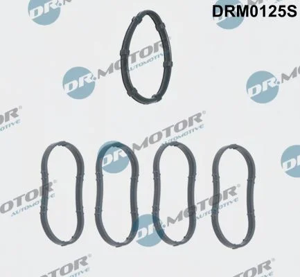 Gasket Set, intake manifold Dr.Motor Automotive DRM0125S