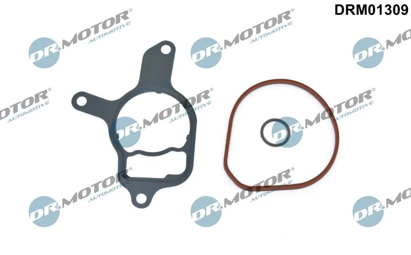 Conjunto de Vedação, bomba de vácuo Dr.Motor Automotive DRM01309