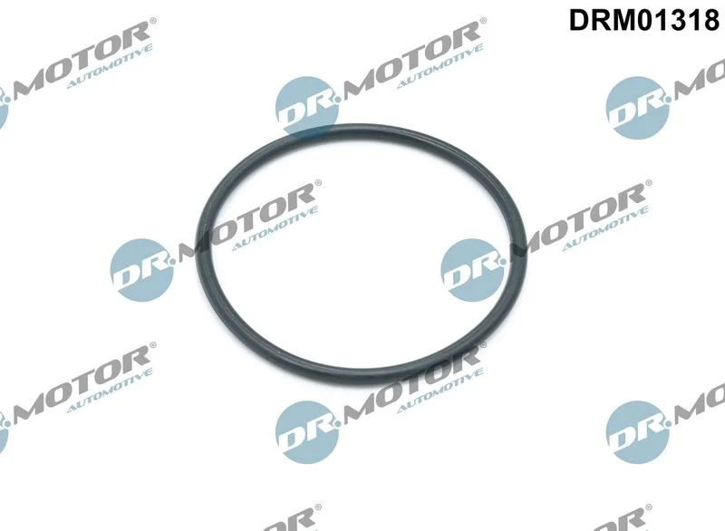 Junta, corpo do filtro de óleo Dr.Motor Automotive DRM01318
