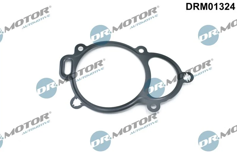 Vedação, ajuste do eixo de comando Dr.Motor Automotive DRM01324