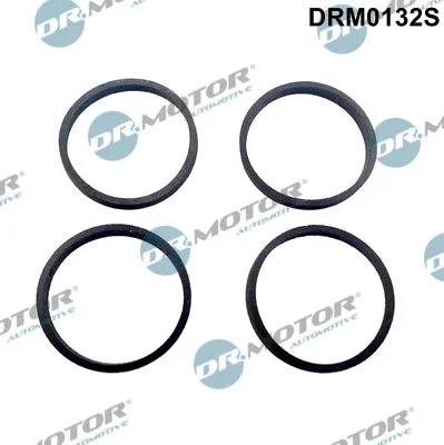Conjunto de Juntas, coletor de admissão Dr.Motor Automotive DRM0132S