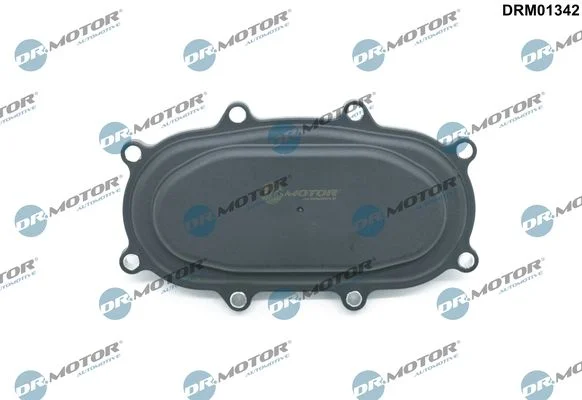 Tampa de Bloqueio, comando de válvulas Dr.Motor Automotive DRM01342