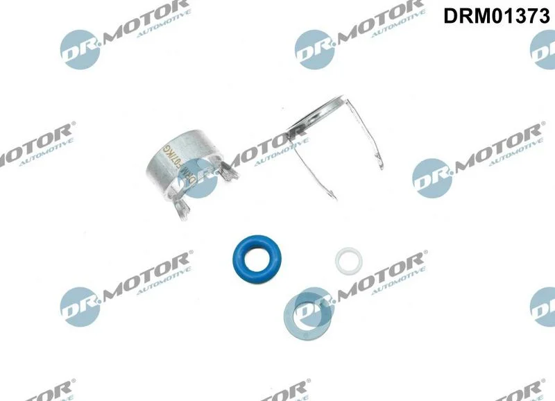 Kit de Reparo, bico injetor Dr.Motor Automotive DRM01373