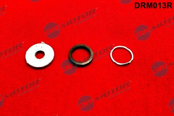 Kit de Reparo, sistema common rail Dr.Motor Automotive DRM013R