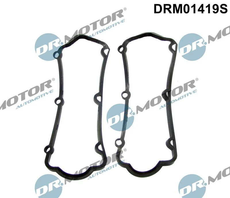 Conjunto de Juntas, tampa da cabeça do cilindro Dr.Motor Automotive DRM01419S
