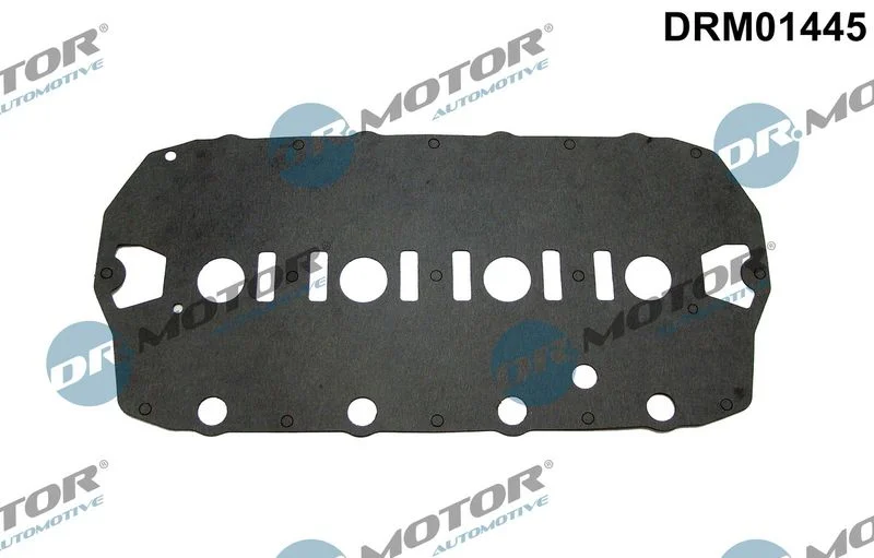 Junta, tampa da cabeça do cilindro Dr.Motor Automotive DRM01445