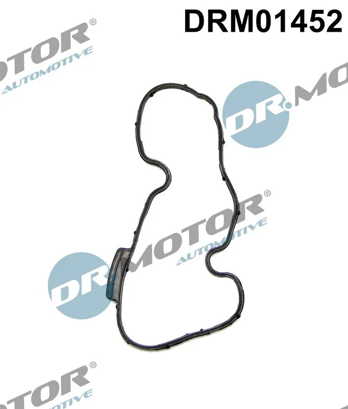 Vedação, ajuste do eixo de comando Dr.Motor Automotive DRM01452