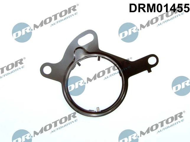 Junta, bomba de vácuo Dr.Motor Automotive DRM01455