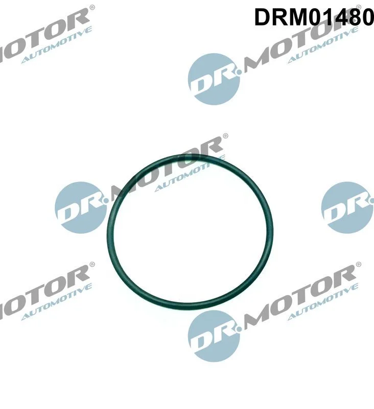 Seal, injection pump Dr.Motor Automotive DRM01480