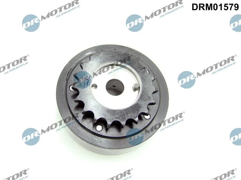 Ajustador do Comando de Válvulas Dr.Motor Automotive DRM01579