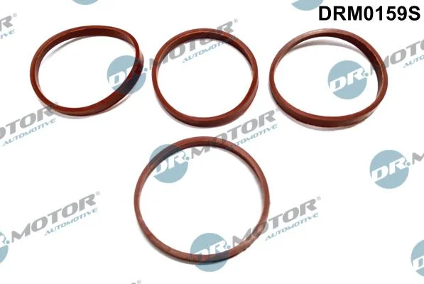 Conjunto de Juntas, coletor de admissão Dr.Motor Automotive DRM0159S