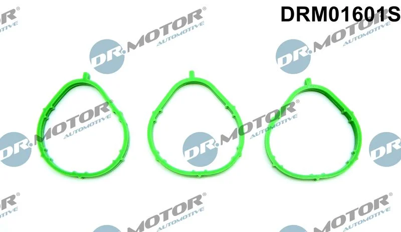 Conjunto de Juntas, coletor de admissão Dr.Motor Automotive DRM01601S