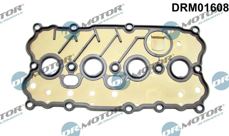 Junta, tampa da cabeça do cilindro Dr.Motor Automotive DRM01608