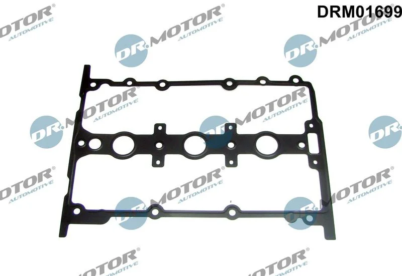 Junta, tampa da cabeça do cilindro Dr.Motor Automotive DRM01699