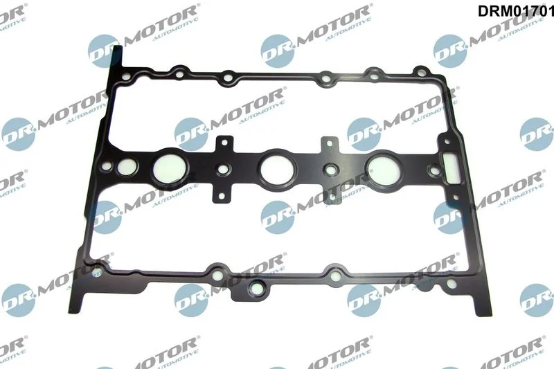 Junta, tampa da cabeça do cilindro Dr.Motor Automotive DRM01701