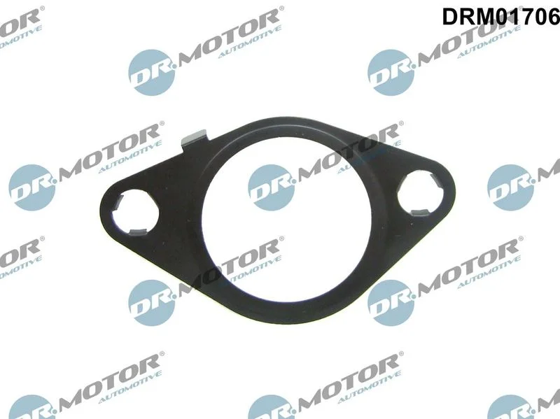 Gasket, EGR valve Dr.Motor Automotive DRM01706