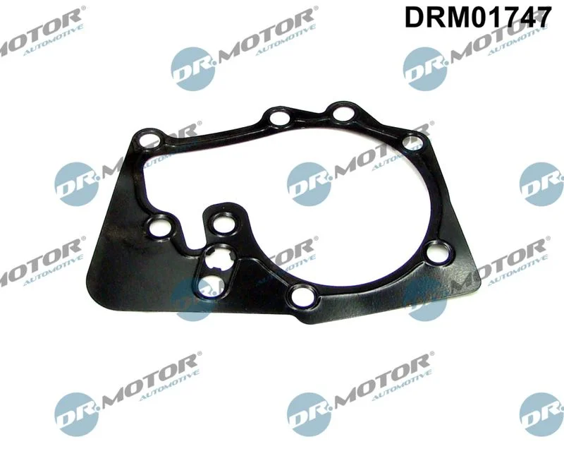 Junta, bomba de água Dr.Motor Automotive DRM01747