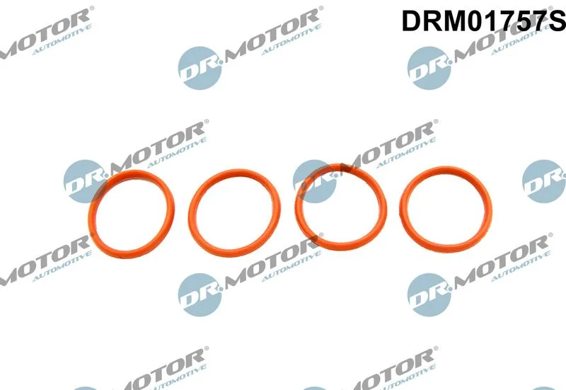 Conjunto de Juntas, coletor de admissão Dr.Motor Automotive DRM01757S