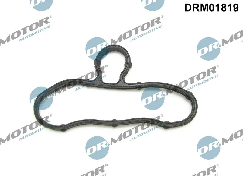 Gasket, timing case cover Dr.Motor Automotive DRM01819